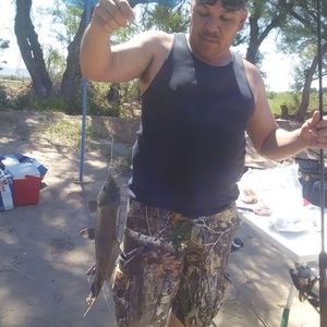 Meet your Posher, Manuel